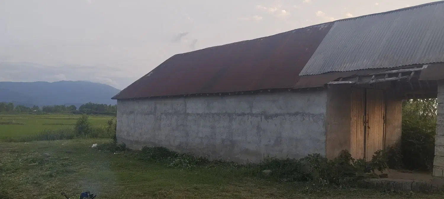 926متر زمین مسکونی همراه باخانه وانبار درایشکا|فروش زمین و ملک کلنگی|لاهیجان, بازکیاگوراب|دیوار