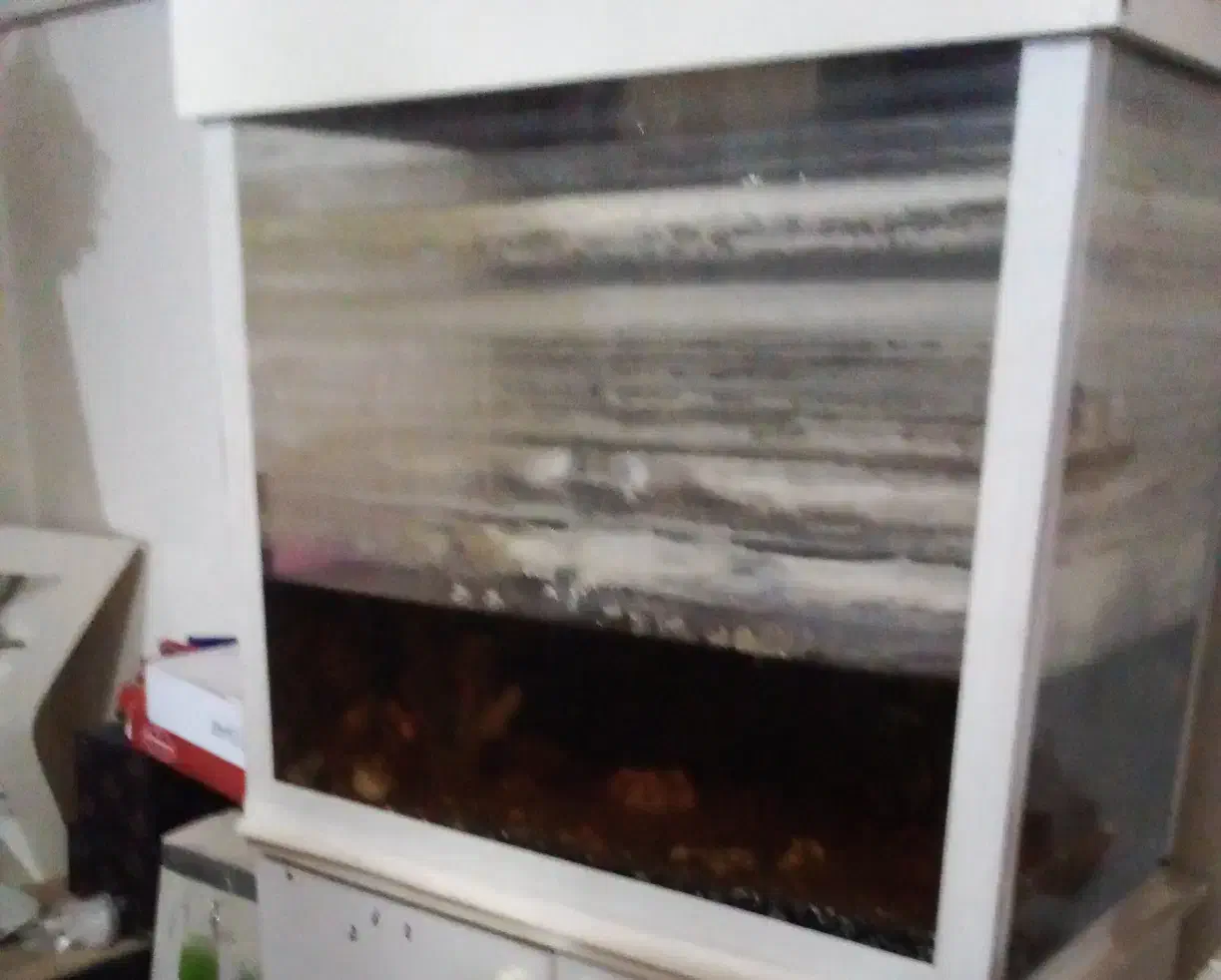 شیشه آکواریوم|ماهی|آستارا, |دیوار