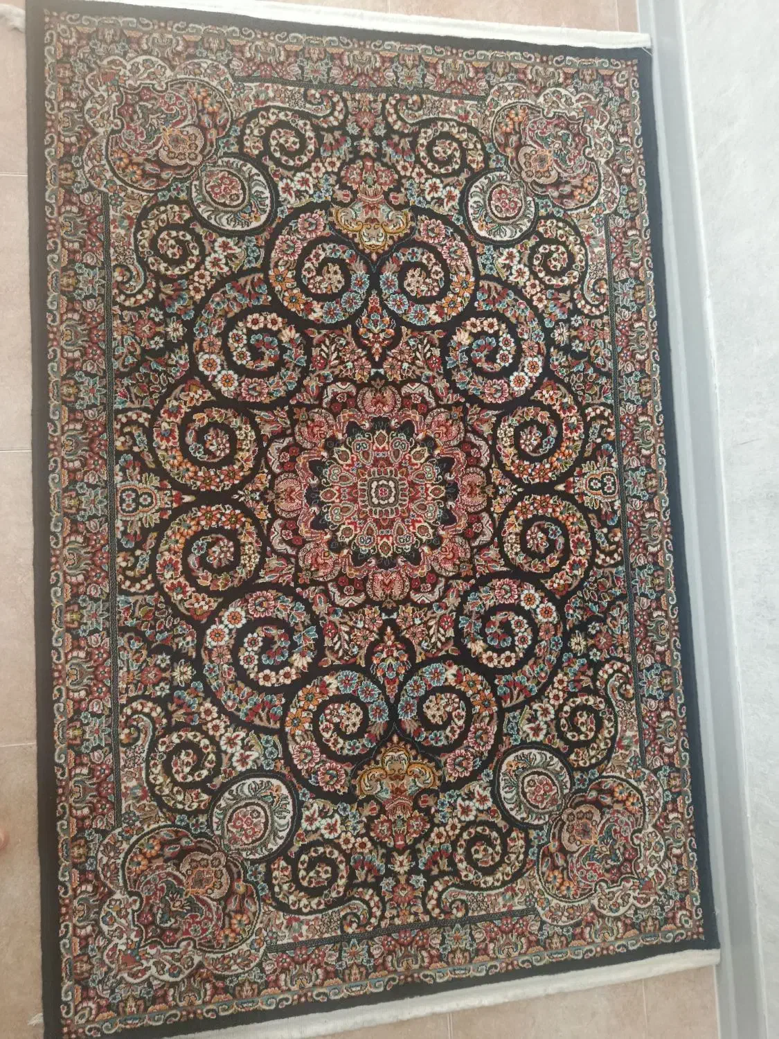 قالی ۱۲مترب|فرش|شهرکرد, |دیوار