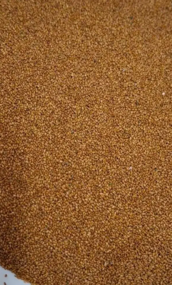 خاکشیر تمیز|خوردنی و آشامیدنی|قم, قلعه یزدیها|دیوار