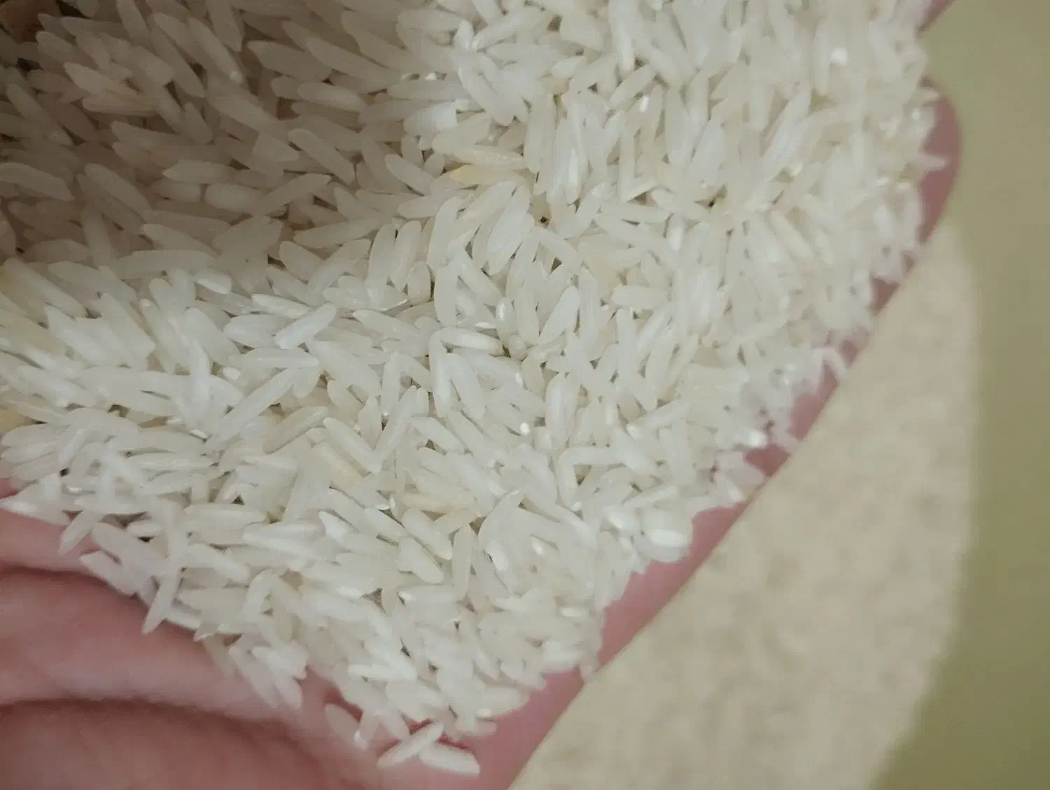 برنج فجر سوزنی|خوردنی و آشامیدنی|رشت, معلولین|دیوار