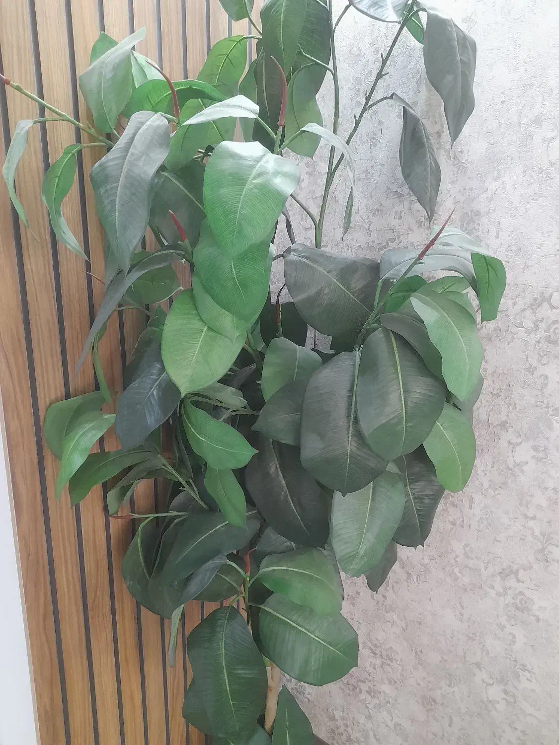 درختچه|گل مصنوعی|همدان, |دیوار