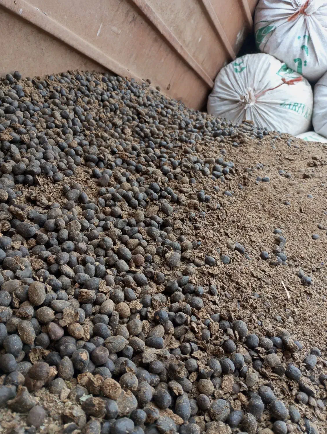 کود گوسفندی درجه یک کاملا خشک|خدمات باغبانی و درختکاری|طالقان, |دیوار