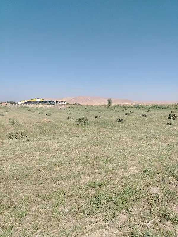 یونجه|لوازم جانبی حیوانات|کشاورز, |دیوار