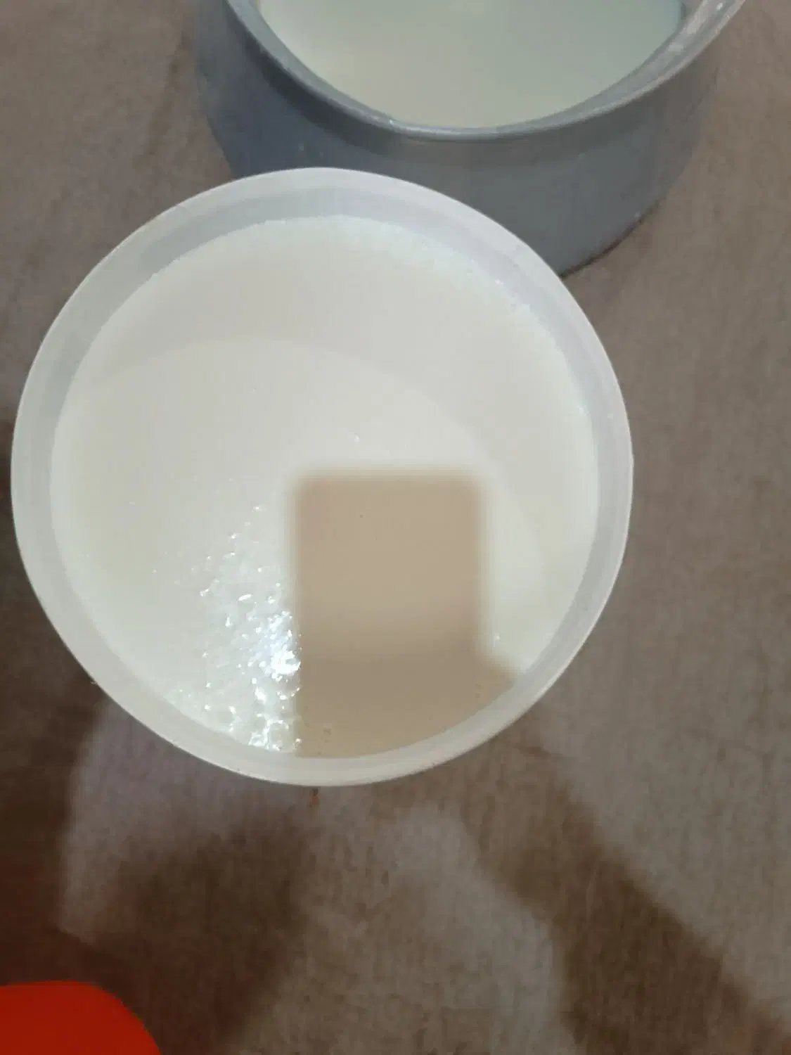 شیر پرچرب|خوردنی و آشامیدنی|معمولان, |دیوار