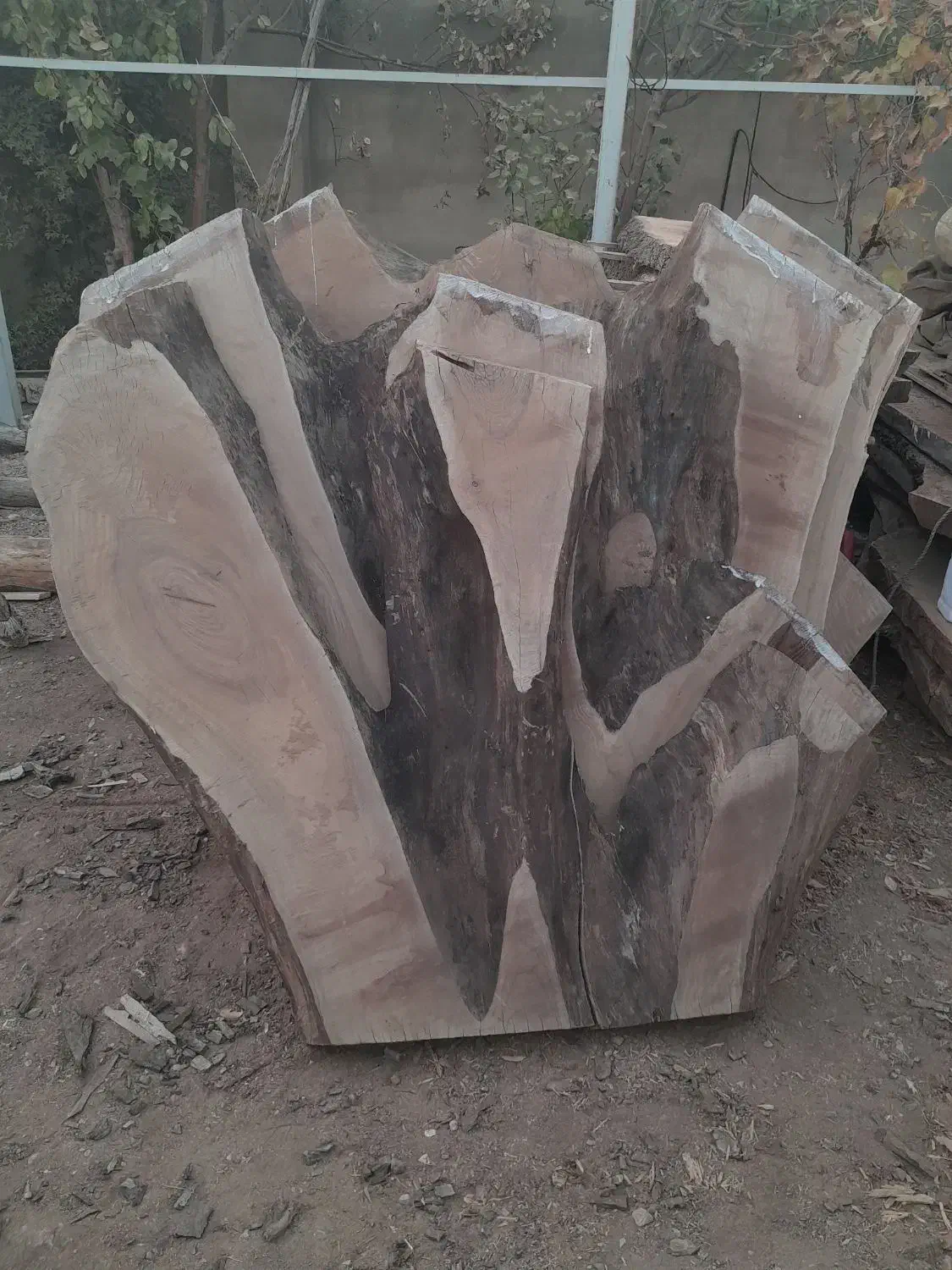 سوپر اسلبهای یک تیکه چوب گردو درسایزهای مختل|عمده‌فروشی|شیراز, گویم|دیوار