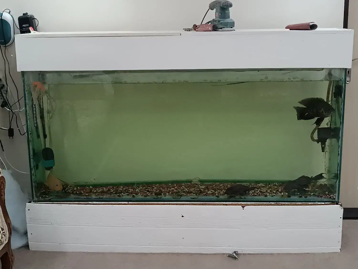 اکواریوم بزرگ|ماهی|تبریز, |دیوار