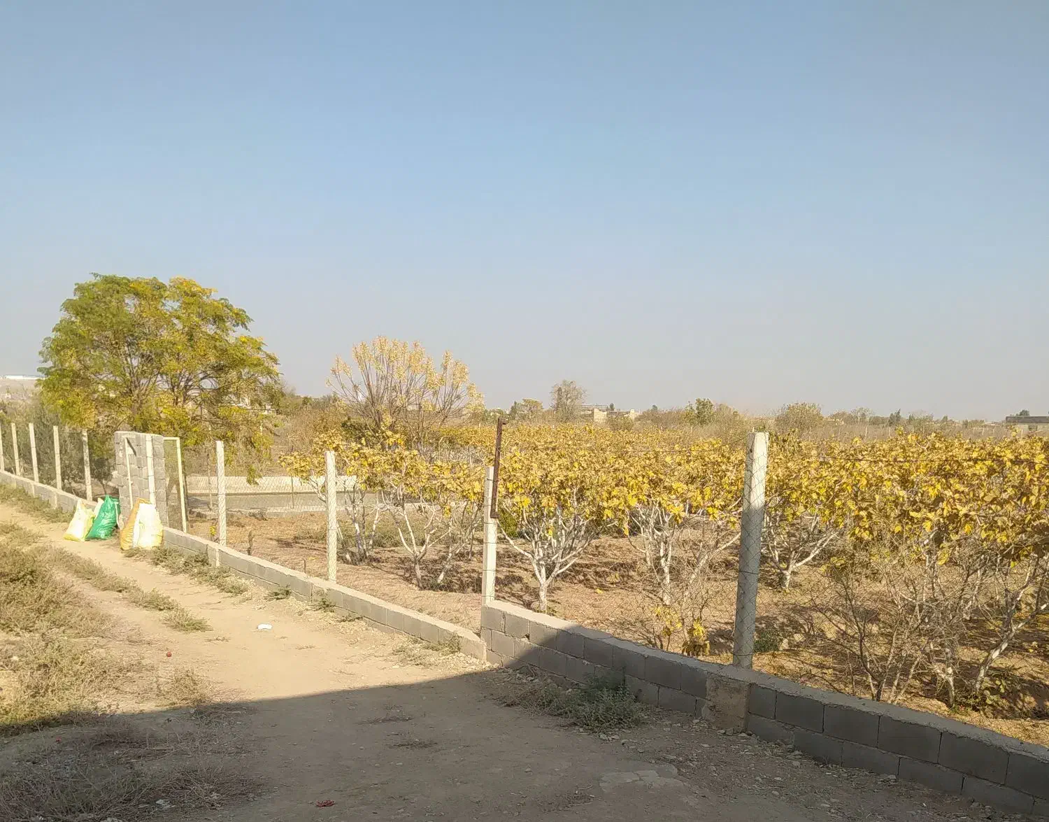 فروش باغ 1000متری|فروش زمین و ملک کلنگی|ساوه, |دیوار