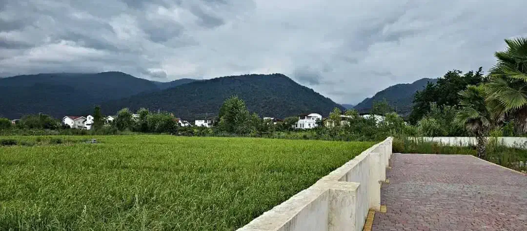 نشتارودزمین شهرکی280متر.باتمامی امتیازات.اقساطی|فروش زمین و ملک کلنگی|نشتارود, |دیوار