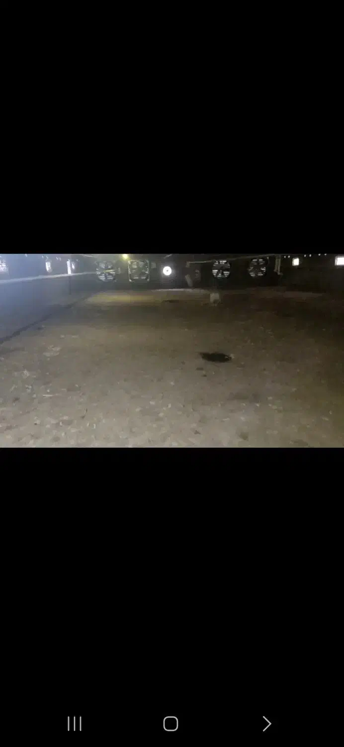 کود مرغی|خدمات باغبانی و درختکاری|انگوران, |دیوار