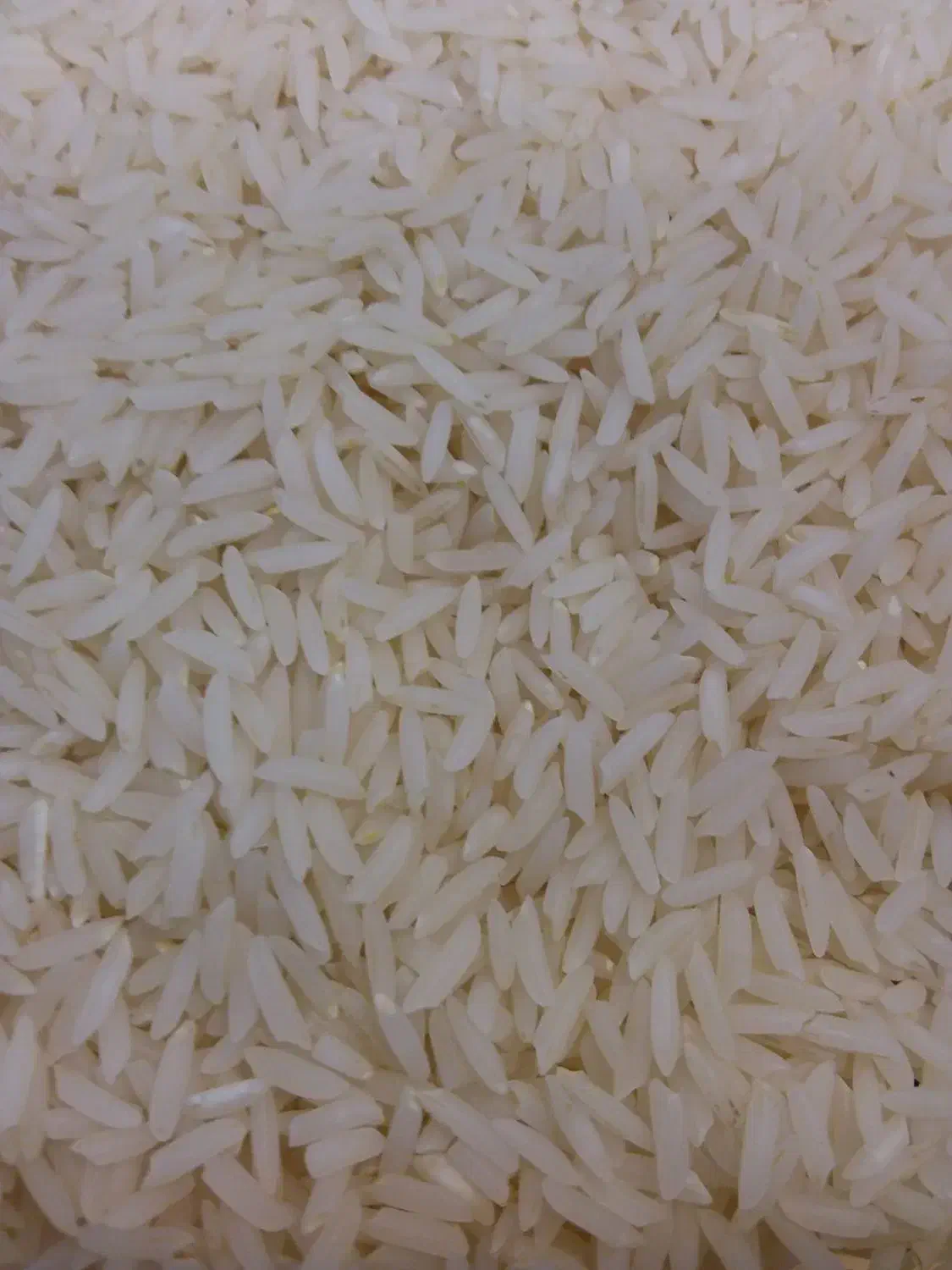 برنج دم سیاه درجه یک شمال|خوردنی و آشامیدنی|صحنه, |دیوار