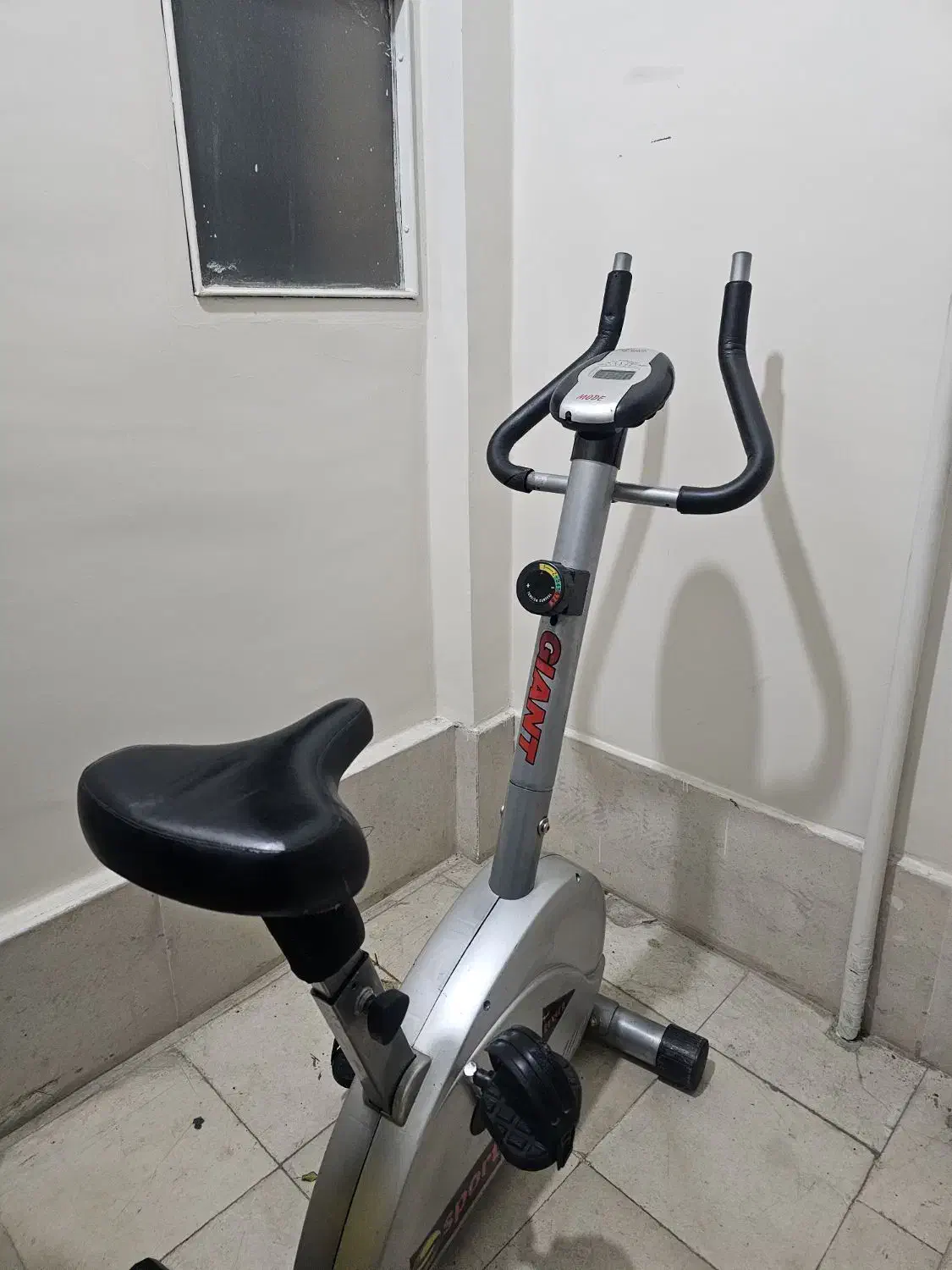 دوچرخه ثابت ورزشی مگنتی جاینت تایوان|تجهیزات ورزشی|اصفهان, همدانیان|دیوار