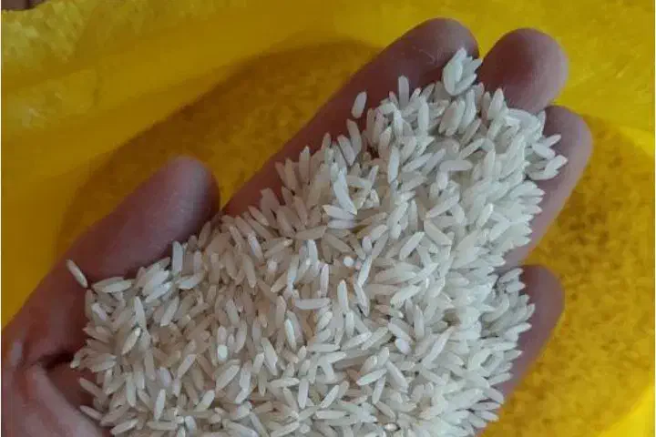 برنج ایرانی(شمال)|خوردنی و آشامیدنی|تبریز, |دیوار