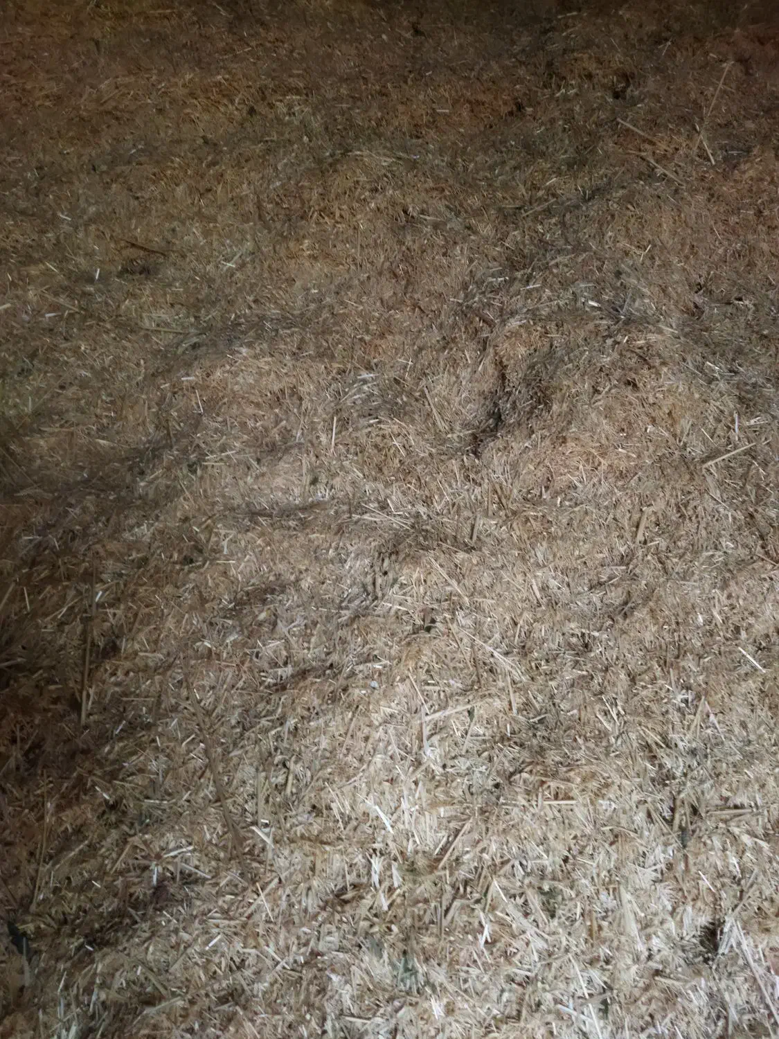 کاه|لوازم جانبی حیوانات|دالاهو, |دیوار