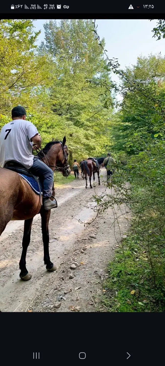 گردشگری|تور و چارتر|بابل, |دیوار