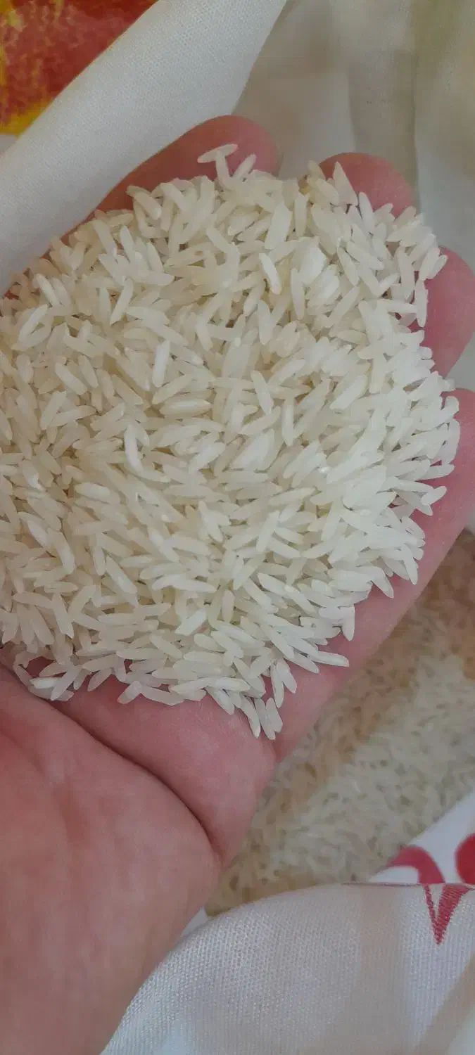 برنج فجر مجلسی شمالی     اصفهان کارت  کالابرگ ازاد|خوردنی و آشامیدنی|اصفهان, رزمندگان|دیوار