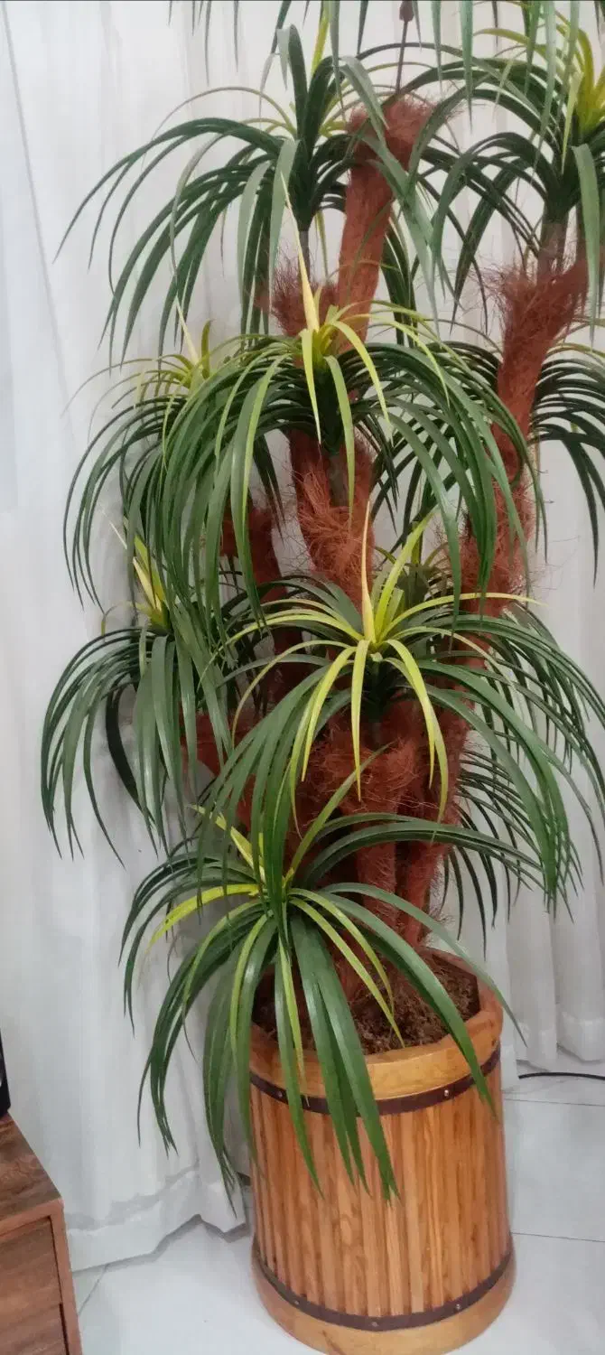 گل مصنوعی|گل مصنوعی|مشهد, آزادشهر|دیوار