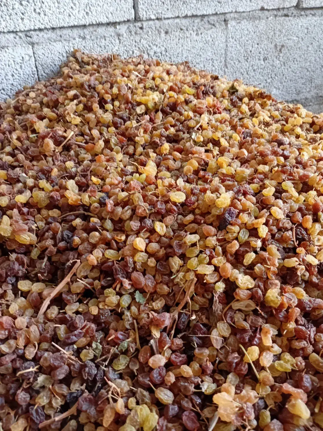 فروش کشمش، پلویی ، تیز آبی و|خوردنی و آشامیدنی|میاندوآب, |دیوار