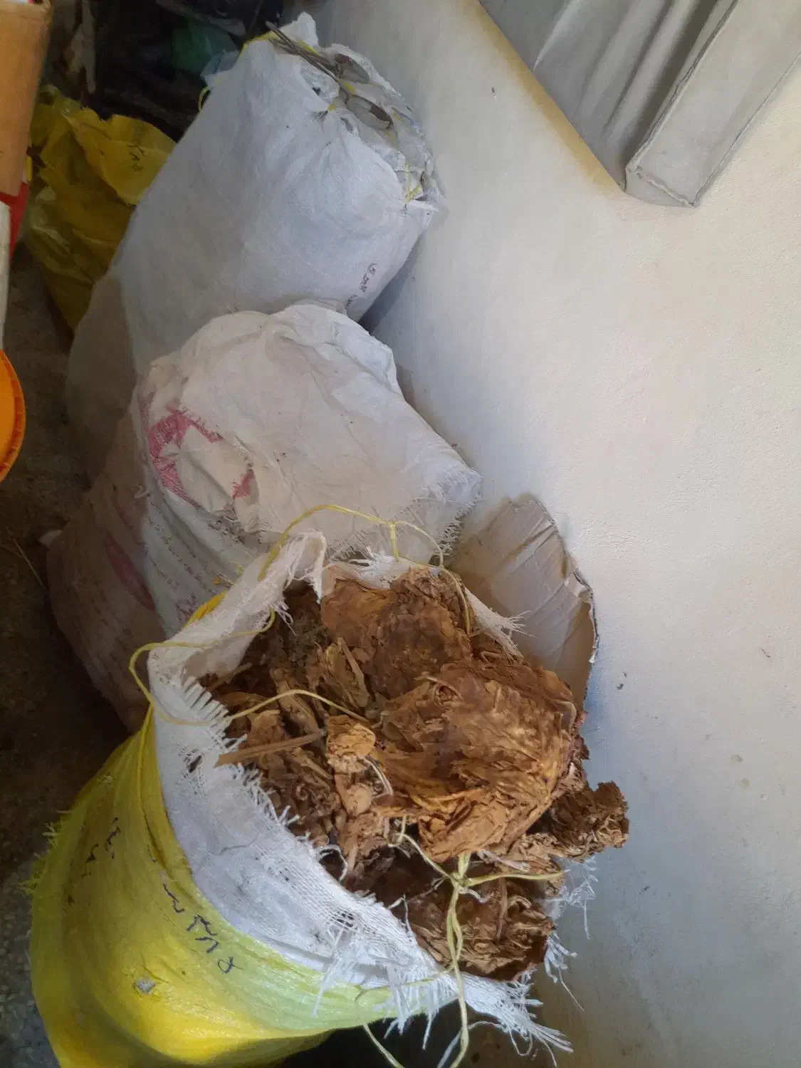 برگ خشک|کلکسیون و سرگرمی|بندر گناوه, |دیوار