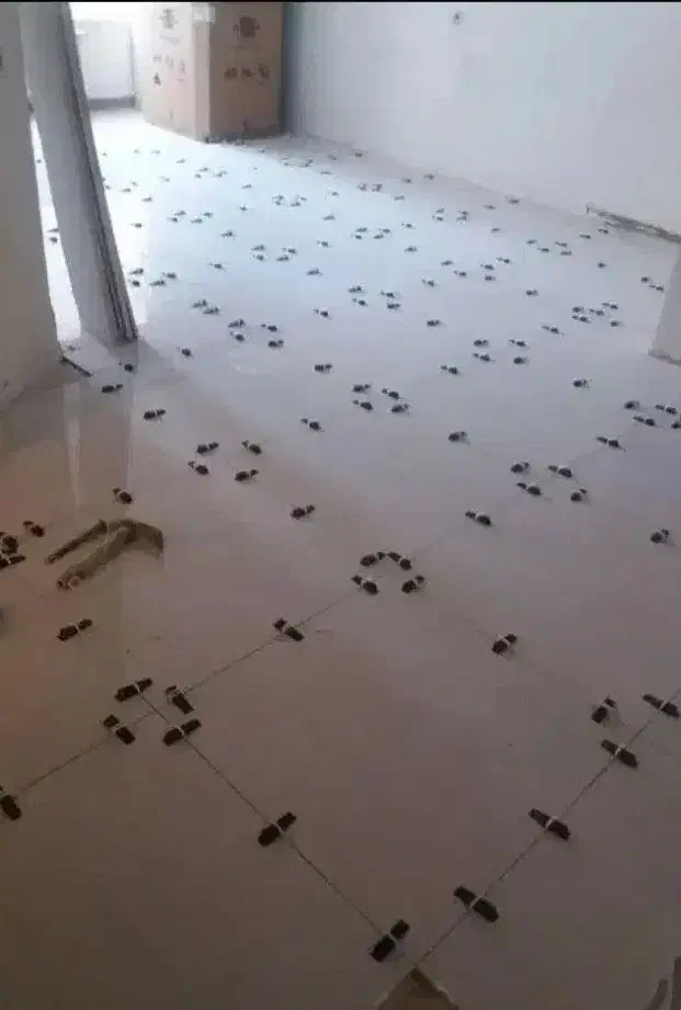 کاشی کاری وسنگ کاری، کلی و خورده کاری|خدمات پیشه و مهارت|شیروان (خراسان), |دیوار