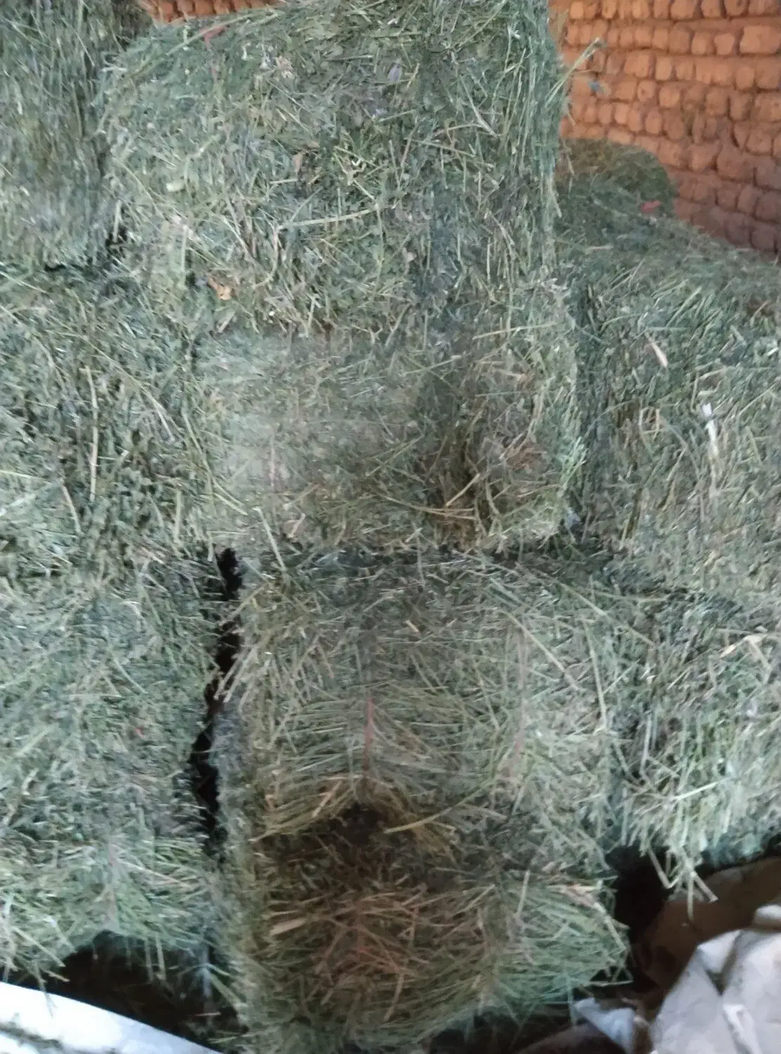 یونجه|لوازم جانبی حیوانات|دورود, |دیوار