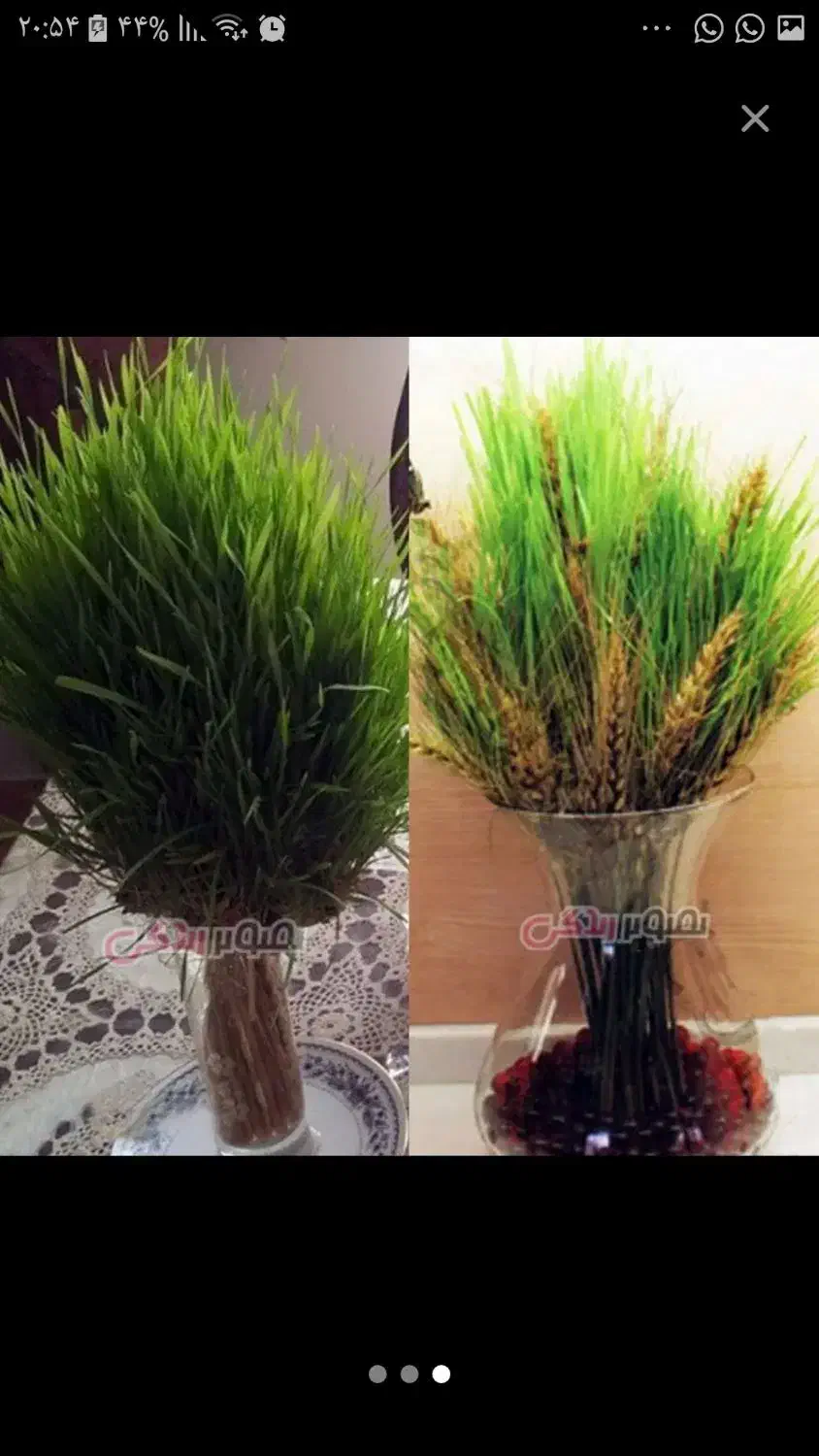 یه دسته بزرگ گندم خشک|گل مصنوعی|اندیمشک, |دیوار