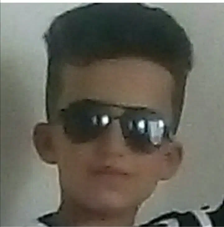 موکت کرمی|موکت|نقده, |دیوار