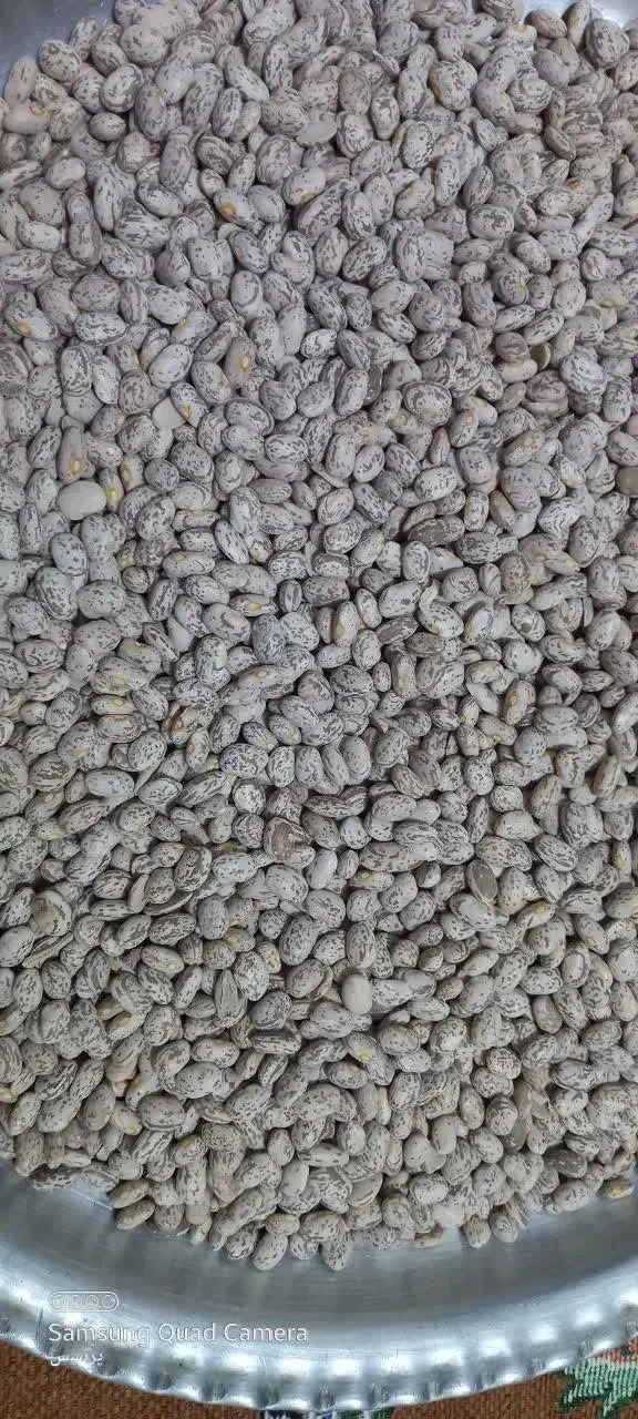 لوبیا چیتی|خوردنی و آشامیدنی|معمولان, |دیوار