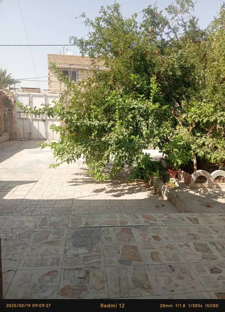 رهن و اجاره منزل دربست|اجارهٔ خانه و ویلا|مرودشت, بیست متری بیمارستان|دیوار