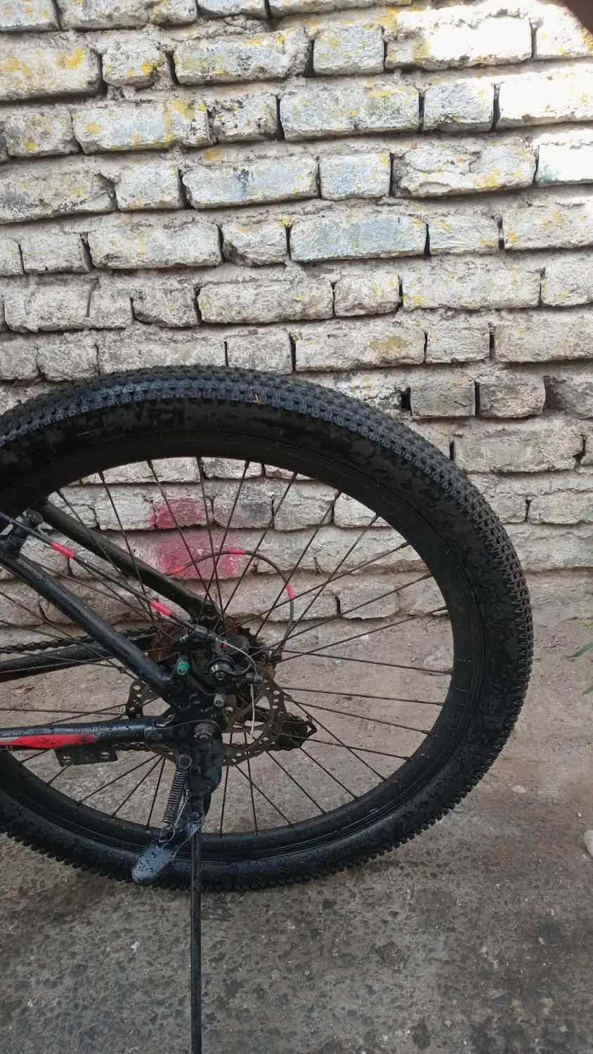 دوچرخه 26|دوچرخه، اسکیت، اسکوتر|تنکابن, |دیوار