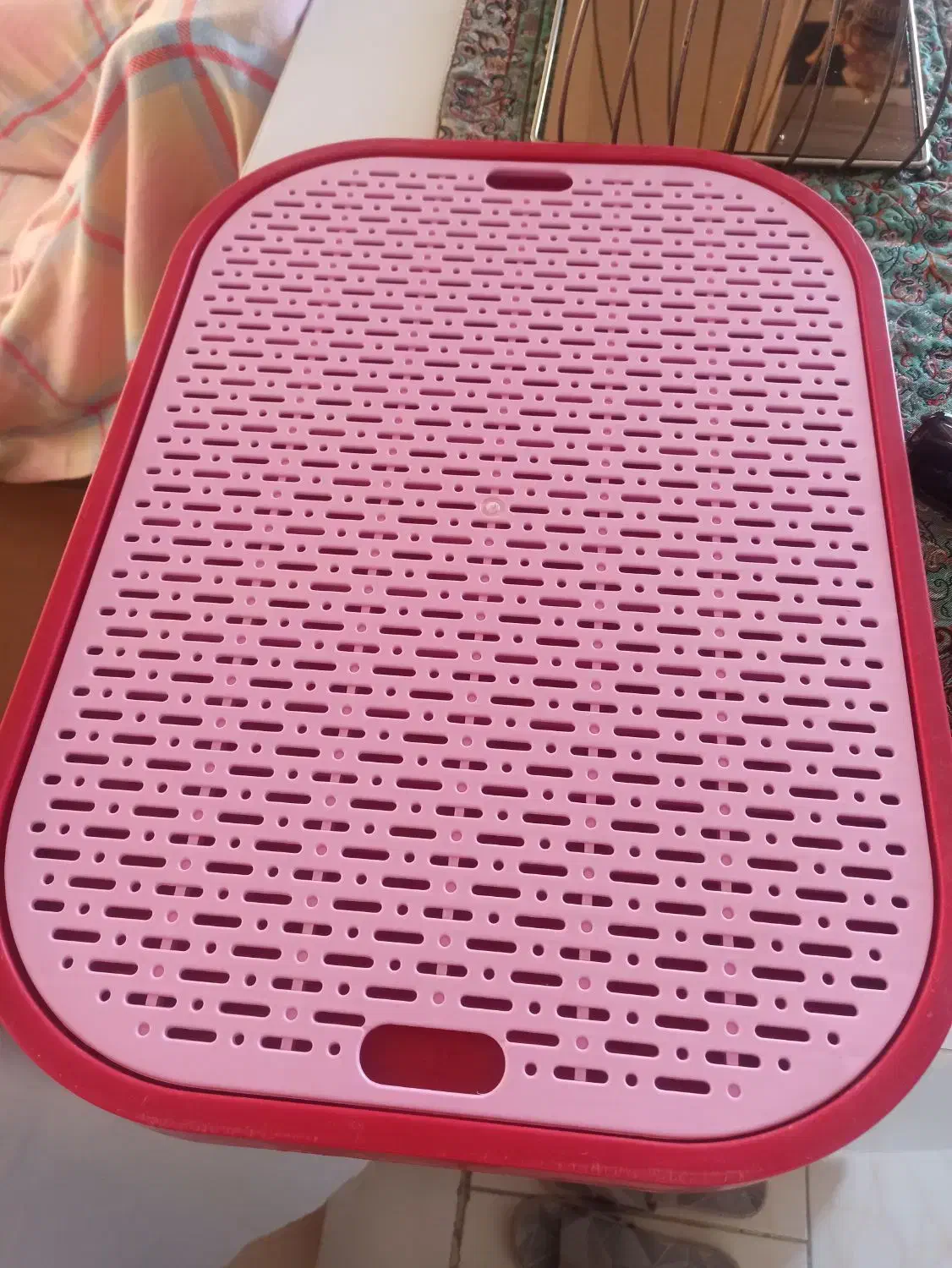 جای غذا واب و جای ادرار سگ|لوازم جانبی حیوانات|قائم‌شهر, |دیوار