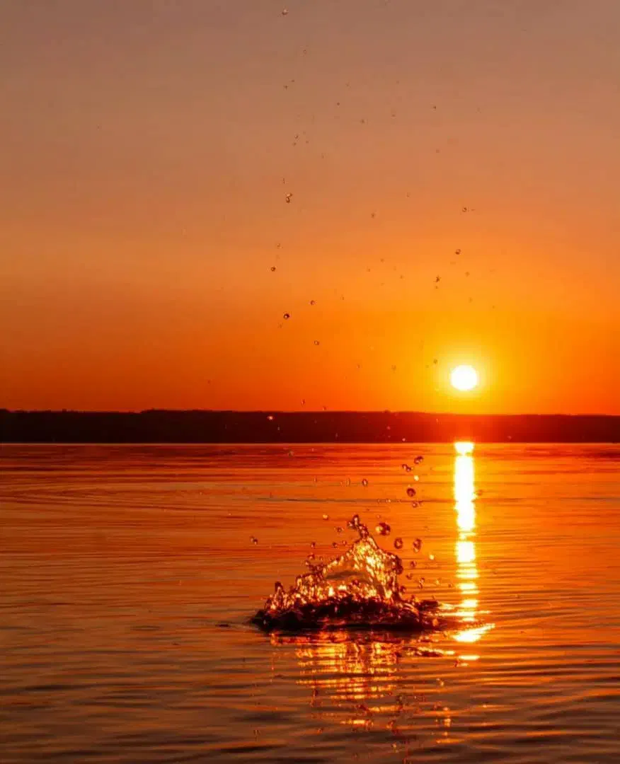 قایق قسطی میخواهم|فعالیت داوطلبانه|دلوار, |دیوار