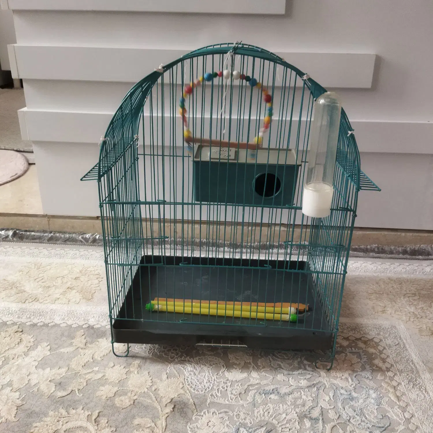 قفس مرغ عشق|لوازم جانبی حیوانات|سقز, |دیوار