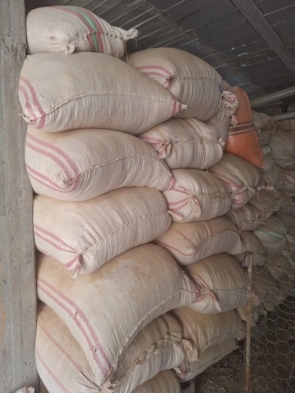 کاه فروشی|لوازم جانبی حیوانات|لردگان, |دیوار