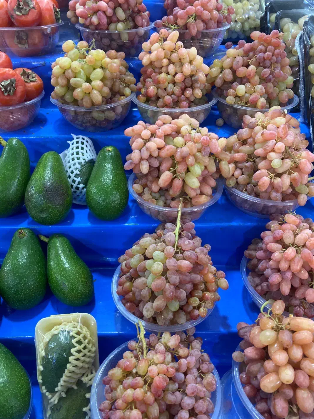 کارگر ساده میوه فروشی|استخدام خدمات فروشگاه و رستوران|تهران, میرداماد|دیوار