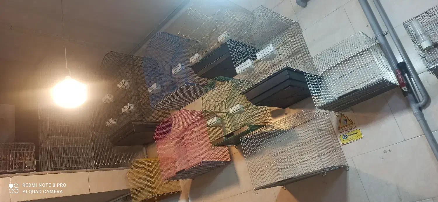 پخش قفس پرندگان طوطی کاسکو سهره قناری عروس هلندی|لوازم جانبی حیوانات|کرج, حیدرآباد|دیوار