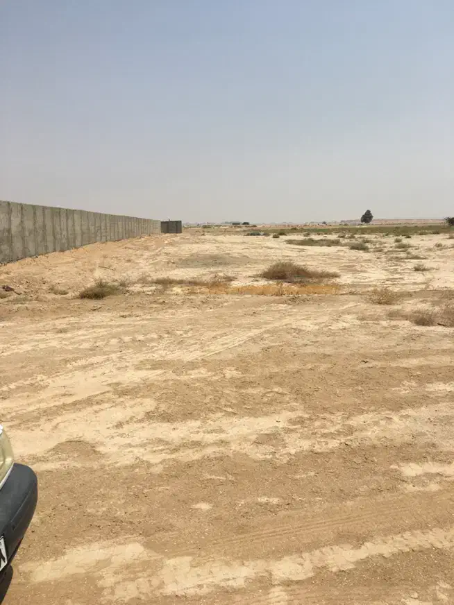 زمین خونه باغ|فروش زمین و ملک کلنگی|بندر گناوه, |دیوار