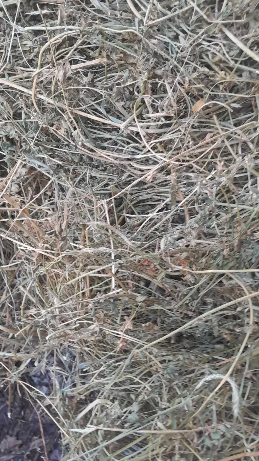 یونجه|خدمات باغبانی و درختکاری|مشگین شهر, |دیوار