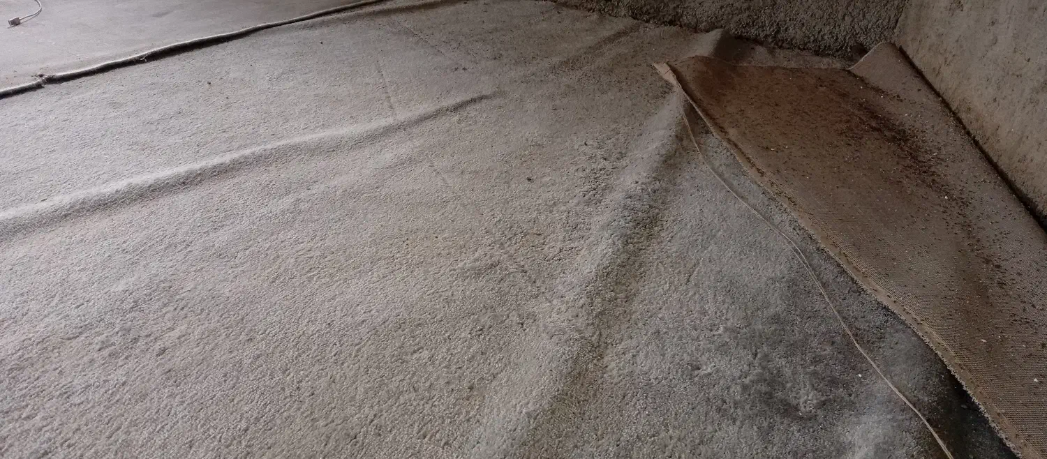 موکت فرشبافت طوسی|موکت|آق قلا, |دیوار