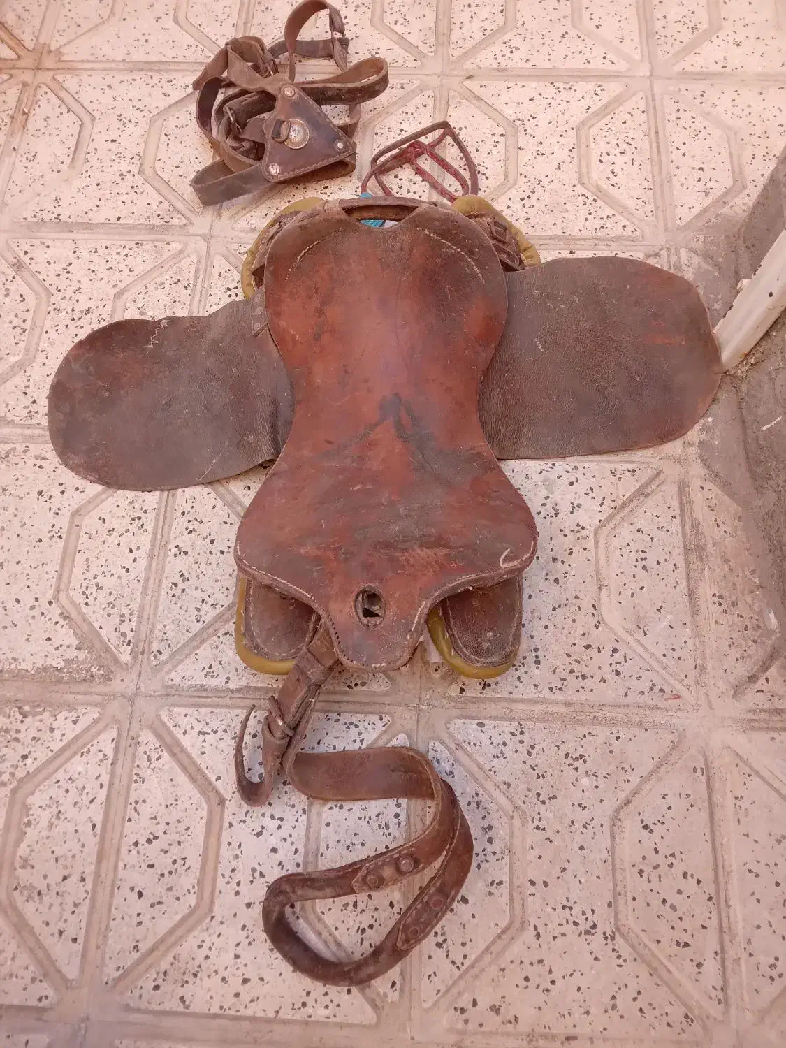 زین اسب|اسب و تجهیزات اسب‌سواری|مشهد, سجادیه|دیوار