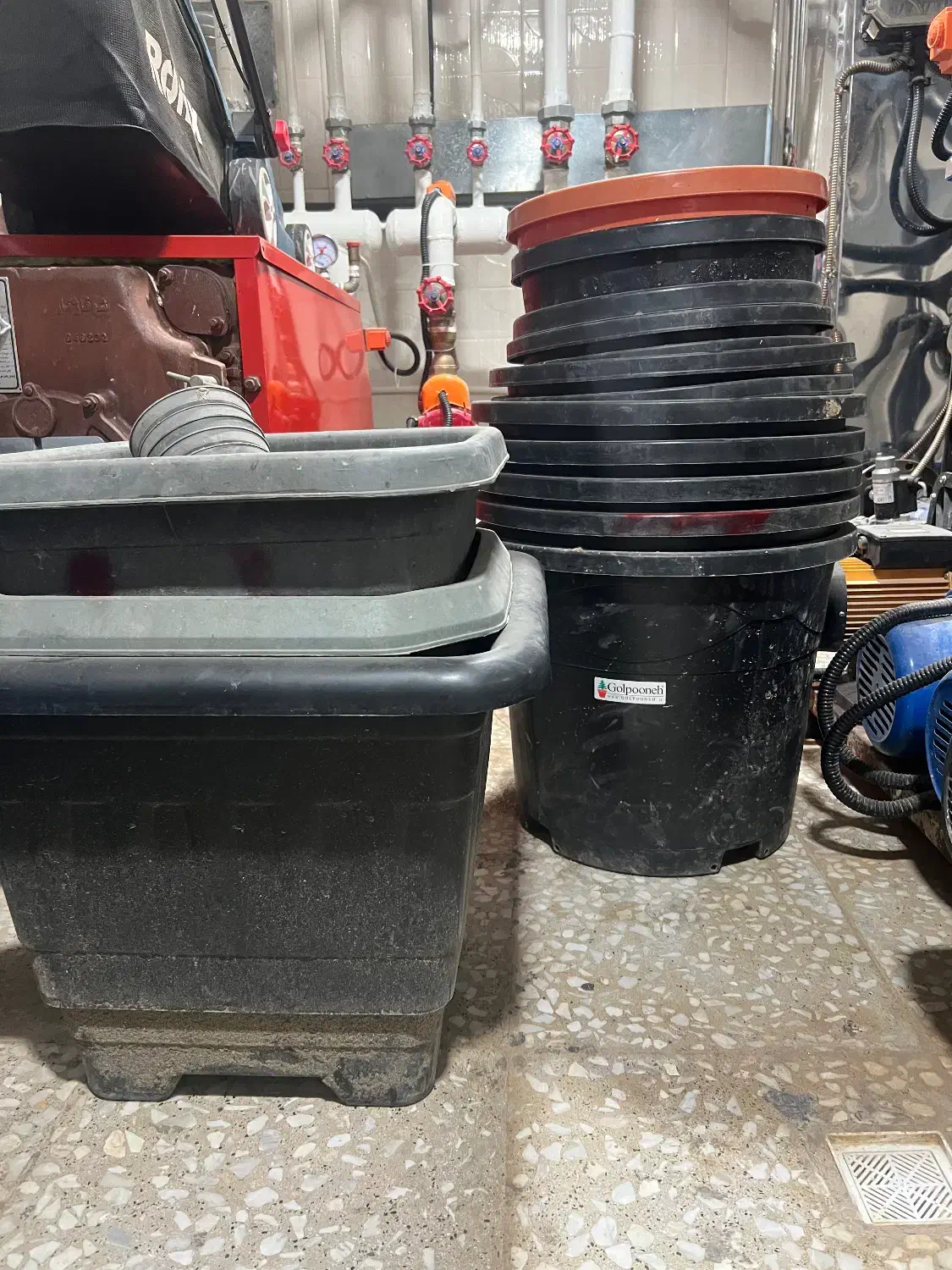 فروش ۱۵ عدد کلدون برند گل پونه در حد نو|گل و گیاه طبیعی|پرند, فاز ۲|دیوار