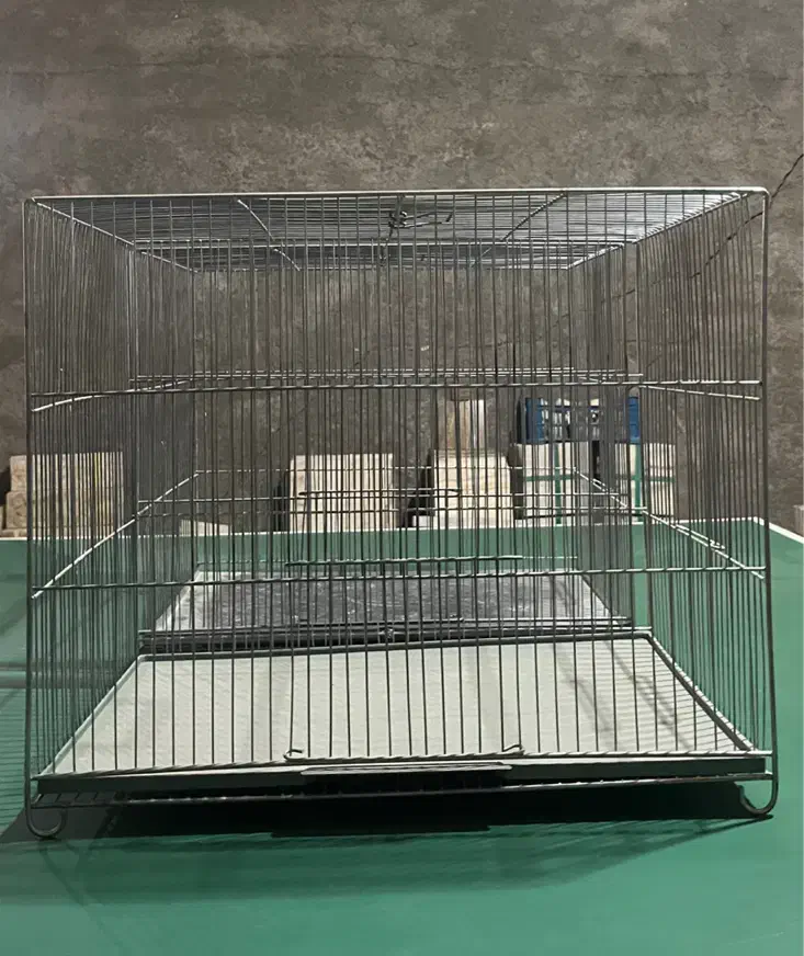 قفس پرنده و لوازم مربوط|لوازم جانبی حیوانات|محلات, |دیوار