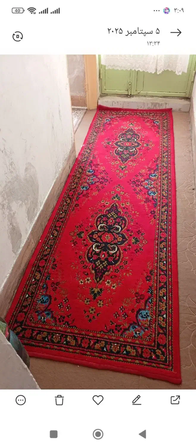 فرش|فرش|جوانرود, |دیوار