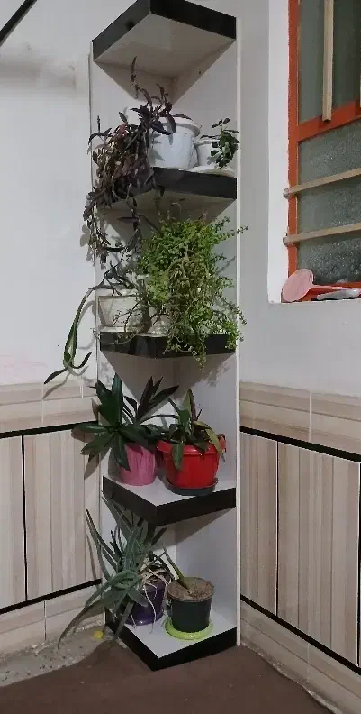 شلف هایگلاس با گلدان ها|کتابخانه، شلف، قفسههای دیواری|دزفول, |دیوار