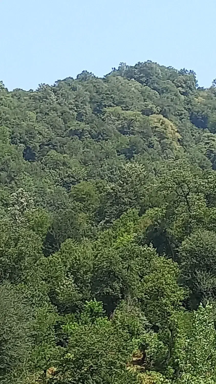 باربری داخل استان گیلان همه جا|خدمات حمل و نقل|شاندرمن, |دیوار