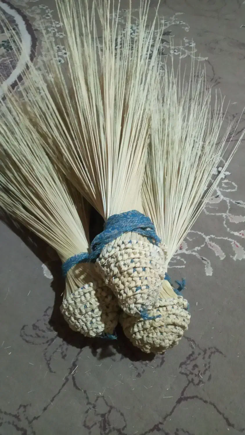 جارو|لوازم نظافت|هیرمند, |دیوار