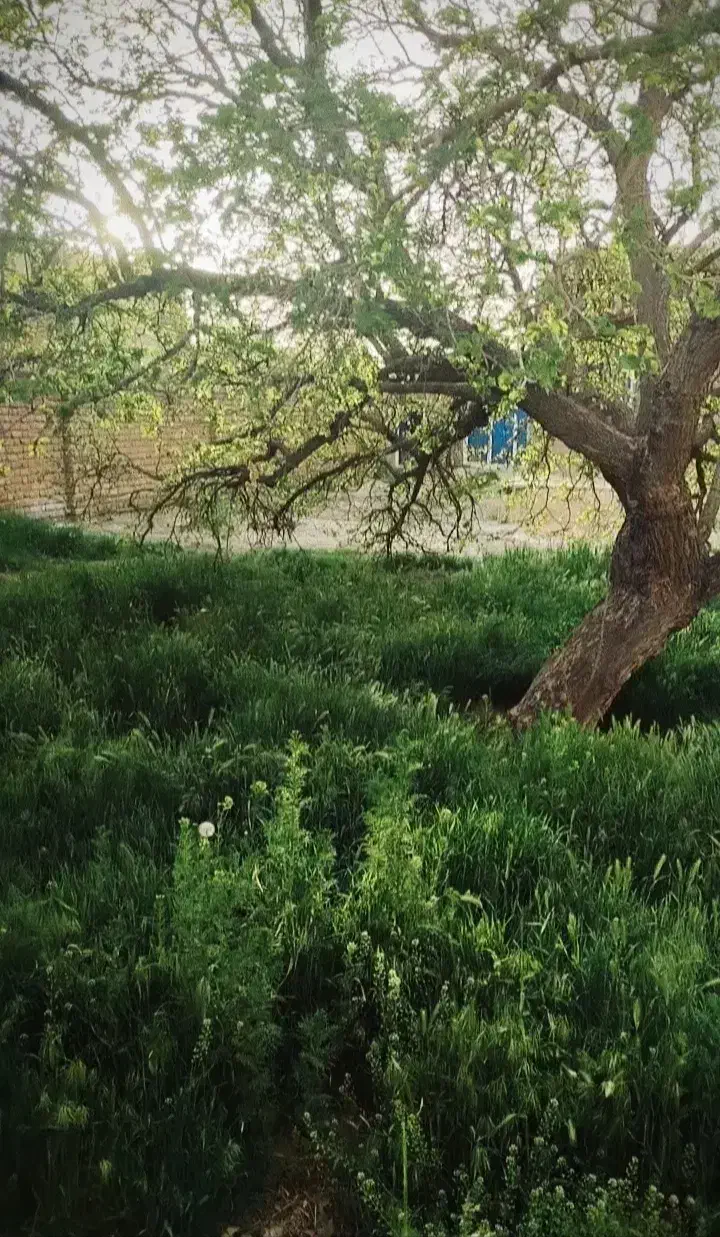 ویلایی دوبر براصلی گاوانه شهرک شهید عسگری|فروش خانه و ویلا|کرمانشاه, |دیوار