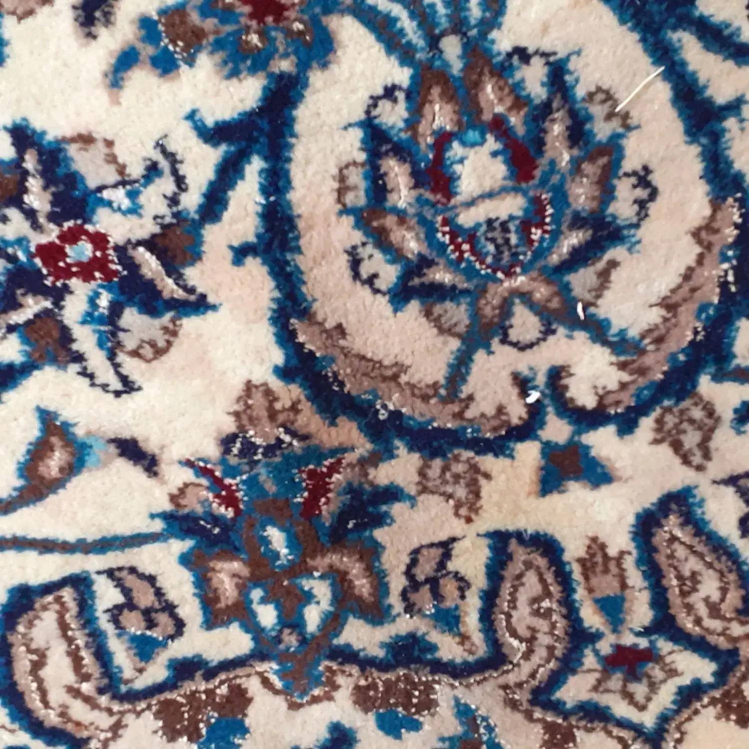 قالی شویی و مبل شویی برف|خدمات نظافت|اصفهان, محله سفلی|دیوار