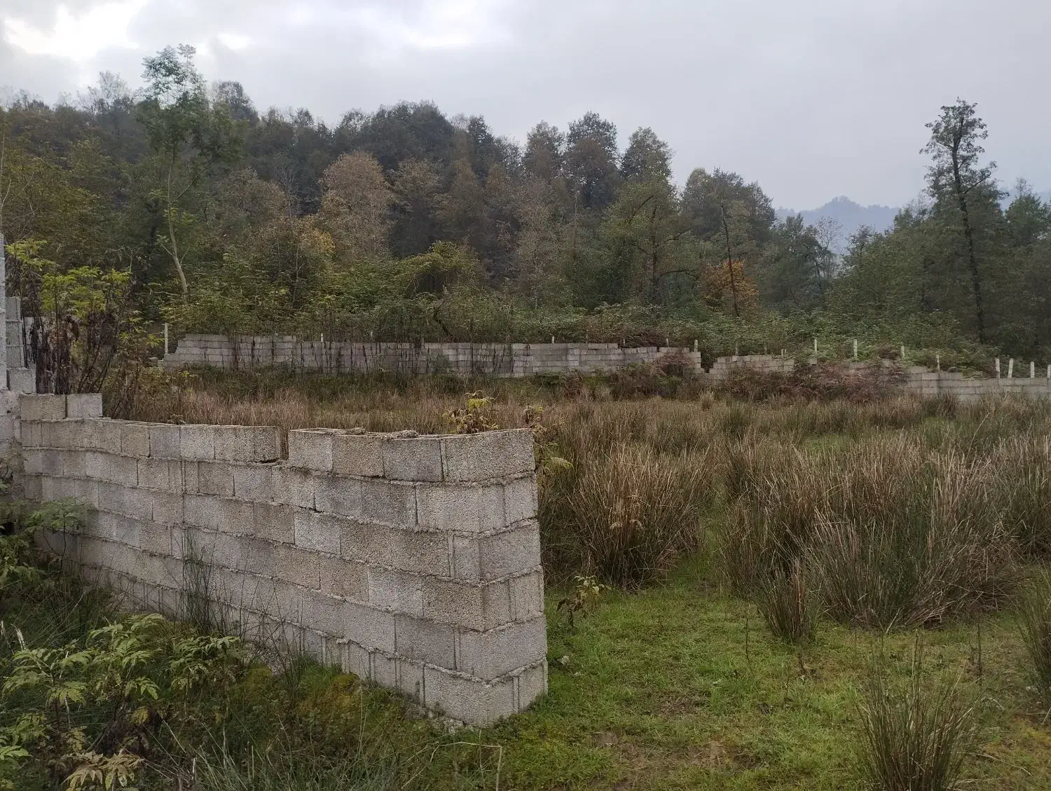 زمین مسکونی|فروش زمین و ملک کلنگی|گوراب زرمیخ, |دیوار