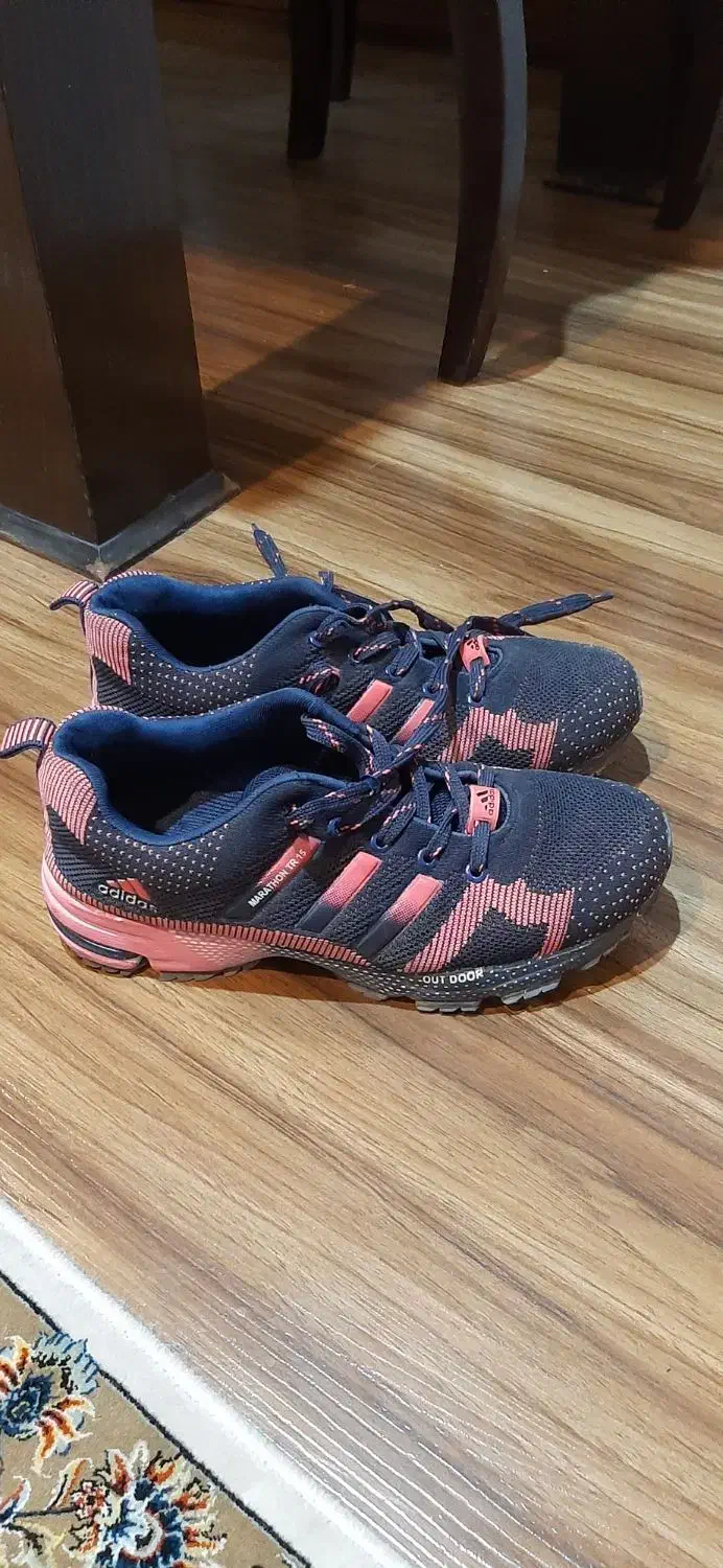 کفش اسپورت و مجلسی|کیف، کفش، کمربند|شیراز, ارم|دیوار